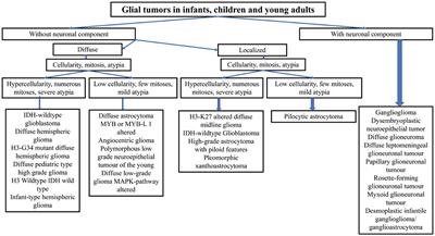 Daily management of gliomas, glioneuronal, and neuronal tumors in the era of the 2021 WHO classification of nervous tumors